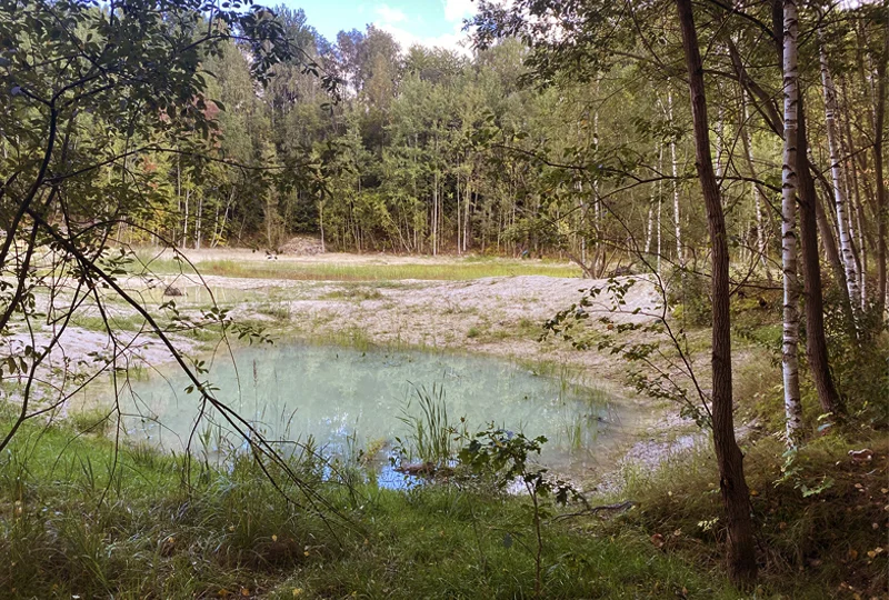 2020_Hradek_0004_Vrstva 8